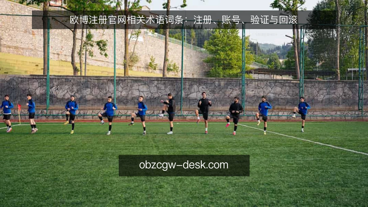 欧博注册官网相关术语词条:注册、账号、验证与回滚