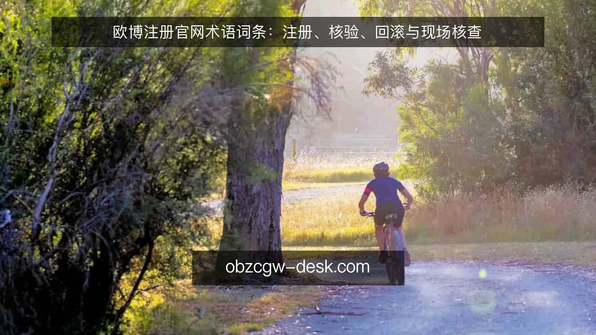 欧博注册官网术语词条：注册、核验、回滚与现场核查